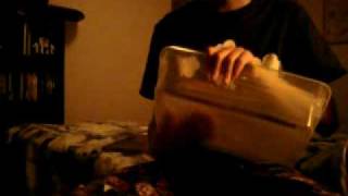 Method 2 How To Set-Up A Hatchling Aboreal Gecko Enclosure