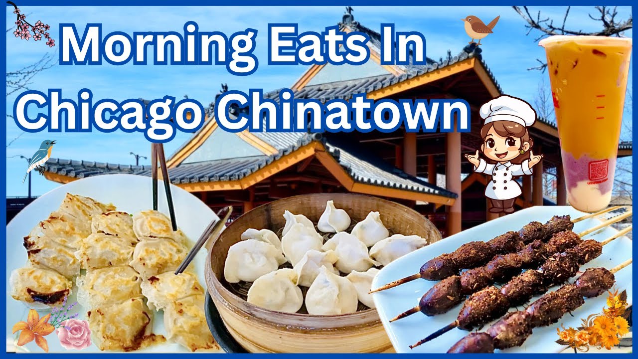 Full Review: Best Dumplings & Boba in Chicago Chinatown! Hidden Gems? 🍜🧋