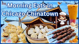 Full Review Best Dumplings Boba in Chicago Chinatown Hidden Gems