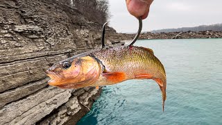 Fishing Off a CLIFF for MONSTER Fish!!! (Insanely Deep!)