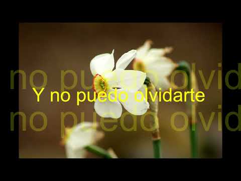No puedo olvidarte Grupo Angel del Amor