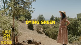 Dying Green | Life on the Edge