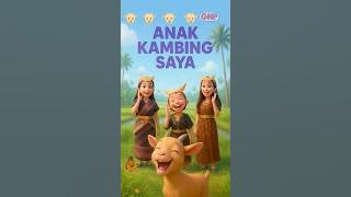 dimana anak kambing saya? #anakkambingsaya #gnpmusic #laguanakindonesia  #kambing #hewan