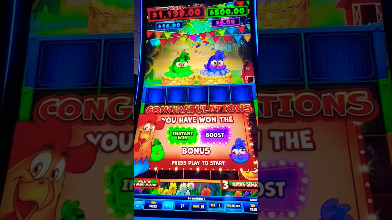 CRAZY CHICKEN$ BONU$$$ ! 