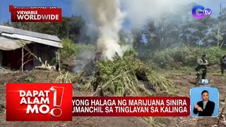 Marijuana, sinira sa Kalinga; Shabu, natagpuan sa balikbayan box (May 9, 2024) | Dapat Alam Mo!