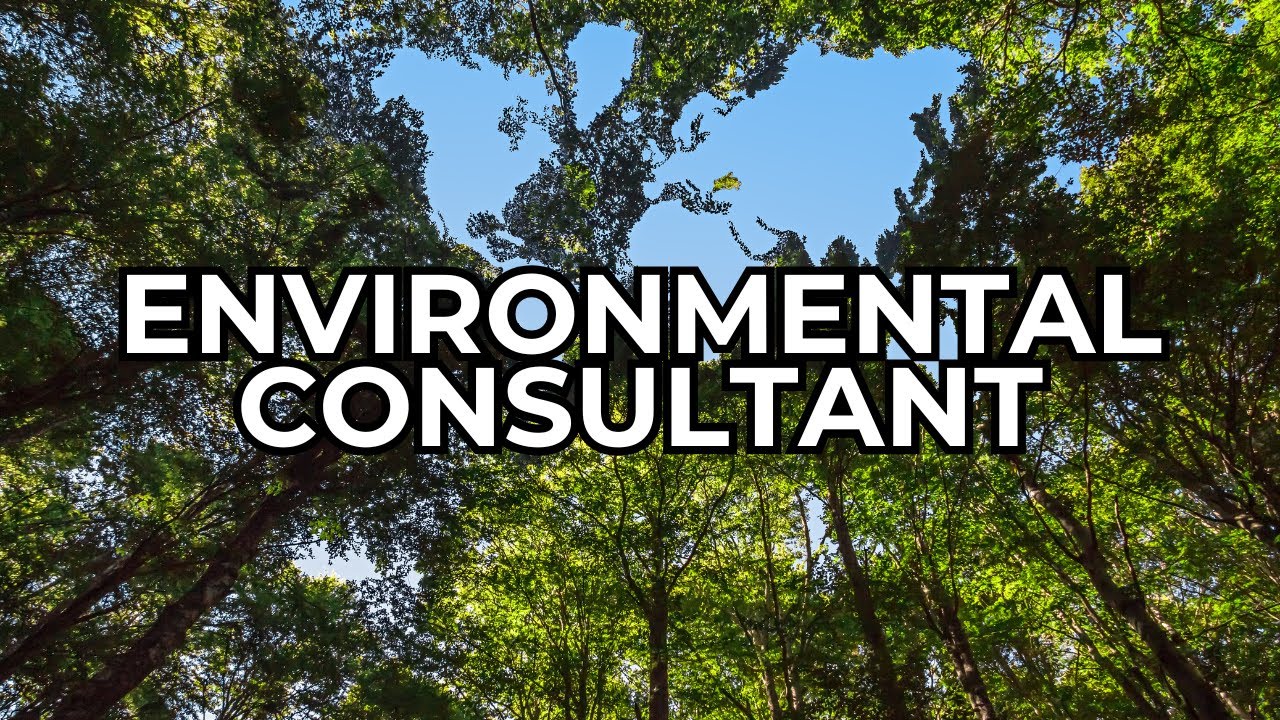 Environmental Consultant - Job Summary