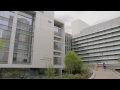 The Hippocampus: A Window to Brain Research at NIH
