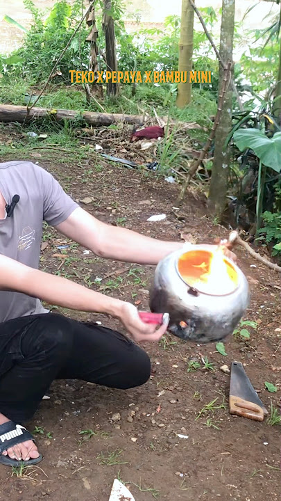 Mercon teko pepaya bambu mini #lodong #karbit #mercon #fyp