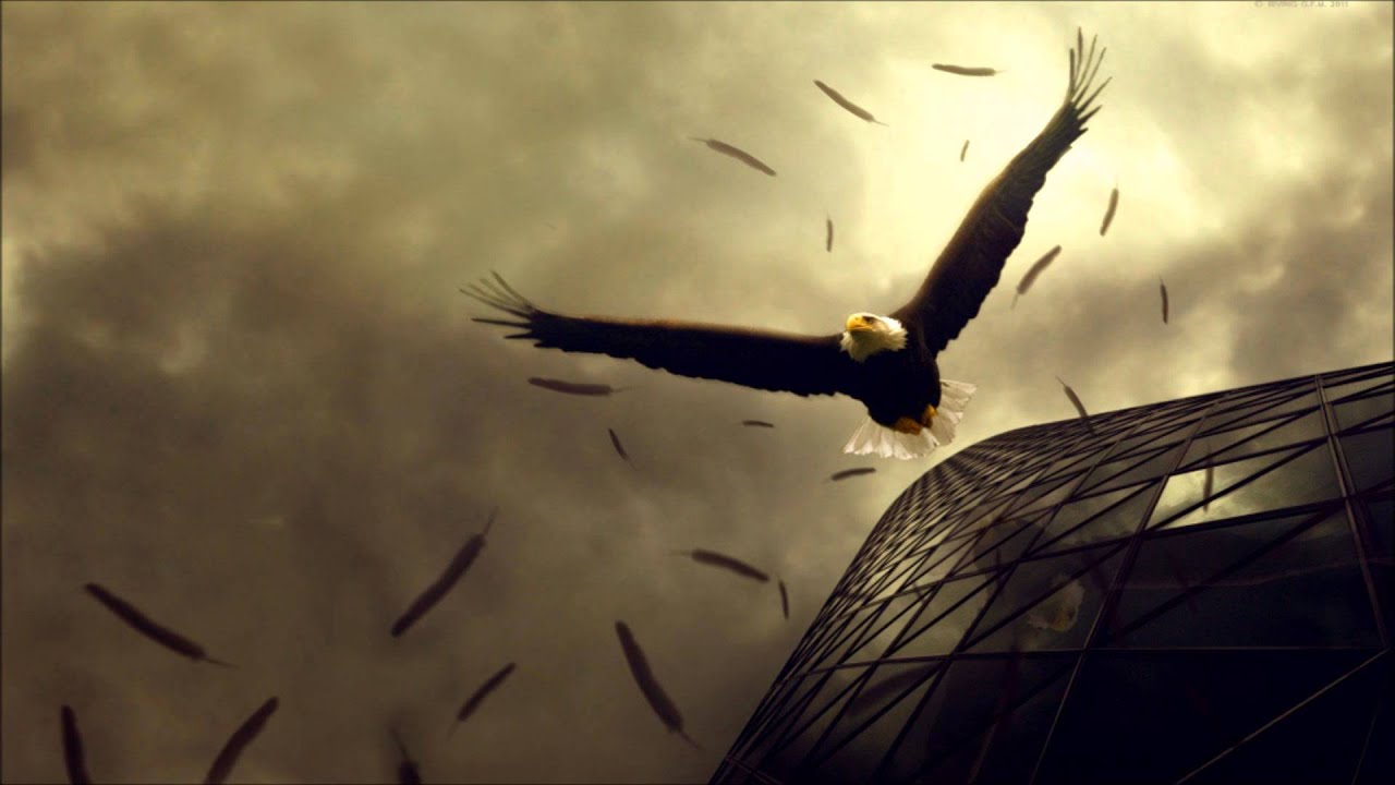 YouTube पर Reformed Faction - One Eagle-Point देखें YouTube पर Reformed Faction - One Eagle-Point देखें