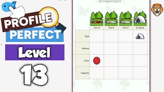 Profile Perfect Level 13 Walkthrough