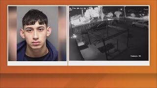 Man sentenced to 20 years in prison for deadly New Year's Day crash