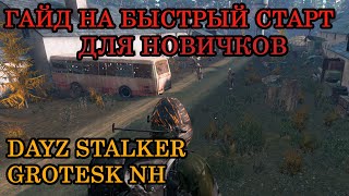 картинка: Гайд обзор для новичков - Dayz Stalker Grotesk NH