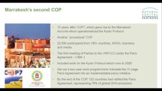 Marrakesh COP22: Turning the Paris Climate Agreement into Action