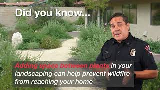 The Art of Plant Spacing: Designing a Fire-Smart Yard