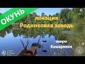 Русская рыбалка 4 - озеро Комариное - Окунь за бревном