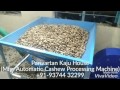 Cashew Processing Machine by Parivartan Kaju House +91-95123 97976 / +91-95124 97976