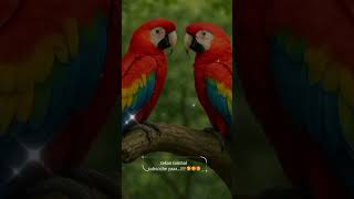 Download Lagu burung beo #keindahanburungbeo #burungcendrawasih #muraibatu #vidioshort #fyp #jangkaianluas #firal MP3 Download Lagu burung beo #keindahanburungbeo #burungcendrawasih #muraibatu #vidioshort #fyp #jangkaianluas #firal MP3