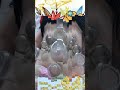 🔥огненная баночная терапия🔥 #душа #любовь#здоровье  #банки