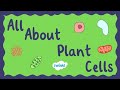 Exploring Plant Cells