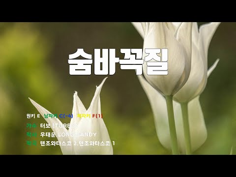 [은성 반주기] 숨바꼭질 - 터보(TURBO)