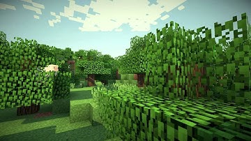 Minecraft GLSL Shader Test 2