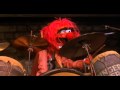 Animal: The best drummer of all time