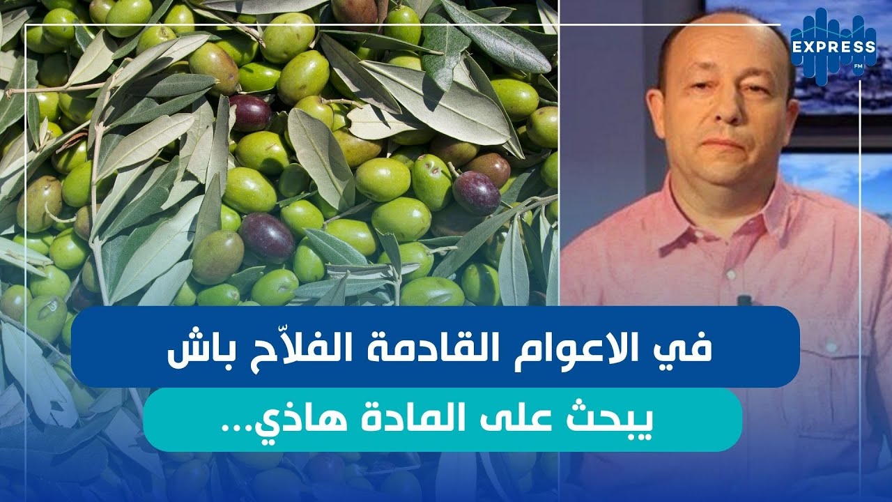 صابة الزيتون افضل من الموسم الفارط ؟  فوزي الزياني يوضّح