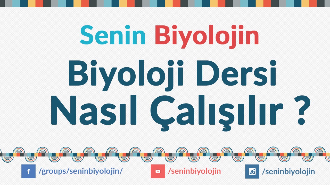 rehberlik biyoloji dersi nasil calisilir youtube biyoloji dersi biyoloji ogretim