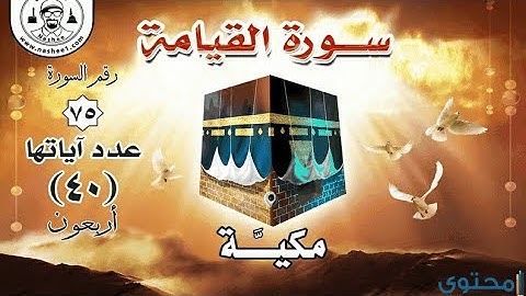 سورة القيامة بصوت رائع