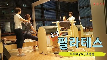기구 필라테스 수업 엿보기!! 필라테스 스트레칭과 운동법