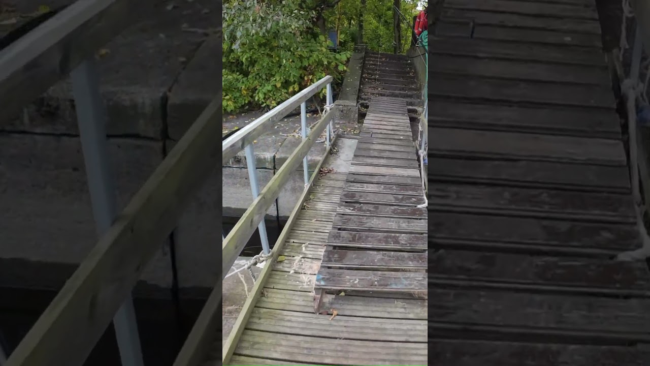 Встретил Свинью на рыбалке