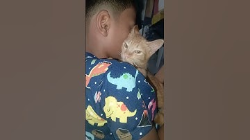 my nephew and his pet #shorts #cat #pets