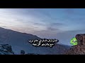 قصيدة قسم الصيدلة كلمات الشاعر سعيد الحبسي اداء عزه الحارثية 