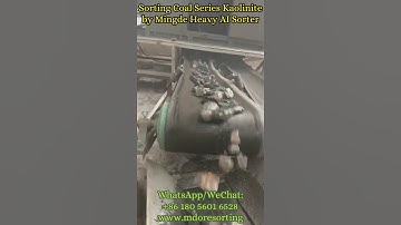 Sorting Coal Series Kaolinite  #mining #ore #colorsorting #factory #machine #kaolin #business #ai