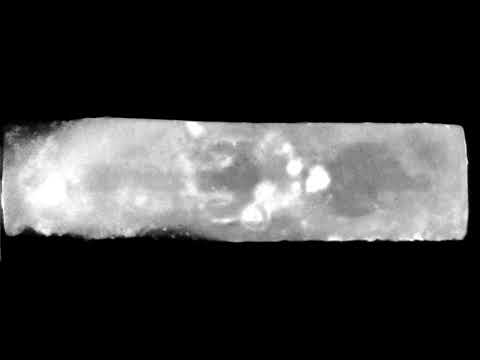 Neutron tomography of animal coffin EA36167 (top view)