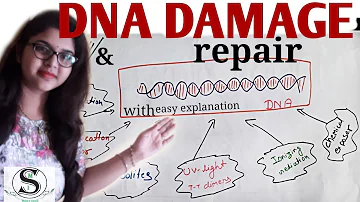 DNA Damage and repair in Hindi  //with simple explanation