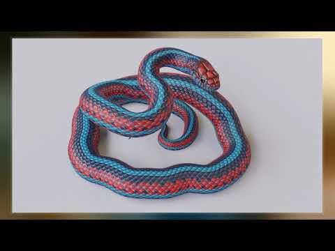 San Francisco Garter