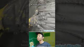 Ide Kreatif Tebing Beton #idekreatif #ideas #diy #2024