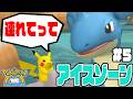 #5【ラプラスに乗ってアイスゾーンへ！】オニゴーリのお願いでユキメノコを探そう！【ポケパークWii実況】