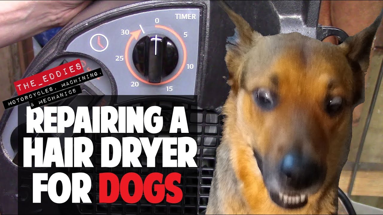 double k dog dryer