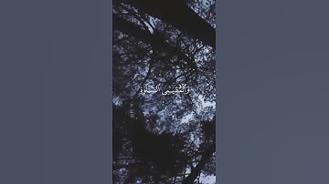 استمع لحظات تنفعك يوم القيامة❤️| القرآن الكريم ( شُفَيَعٍگ يَۆم آلُقيَآمة )