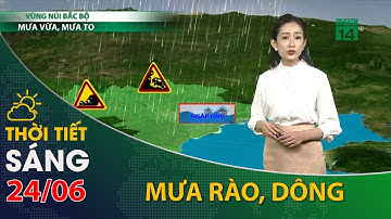 Thời tiết hôm nay 24/06/2021: Bắc Bộ, do có mưa dông rải rác nên thời tiết dịu mát hơn| VTC14