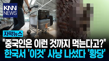 중국인들, 밤마다 나가더니… 한국서 