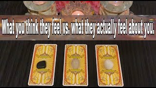 ✨💕What you think they feel vs. how they actually feel about you.💕✨Pick A Card Love reading*Timeless*