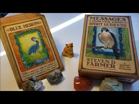 ◇-messages-from-your-animal-spirit-guides-oracle-deck-♡-review-and-thoughts-😍💖☺
