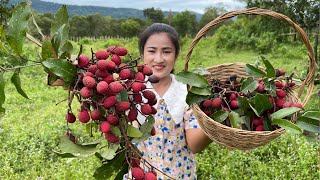 Have you ever seen wild Lychee fruit at your place? / Lychee fruit recipe / Cooking with Sreypov