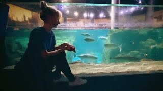 Let's Explore the Underwater World 🦈 ASMR Soft Spoken Aquarium Tour screenshot 2