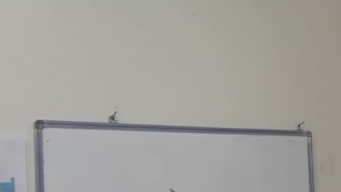 Freezing Point Depression