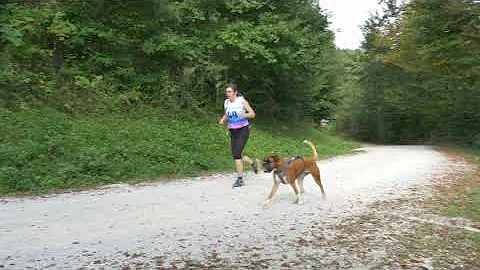 Sled dog race Gradisko Jezero
