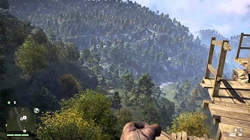 Far Cry® 4 - invisible gun glitch